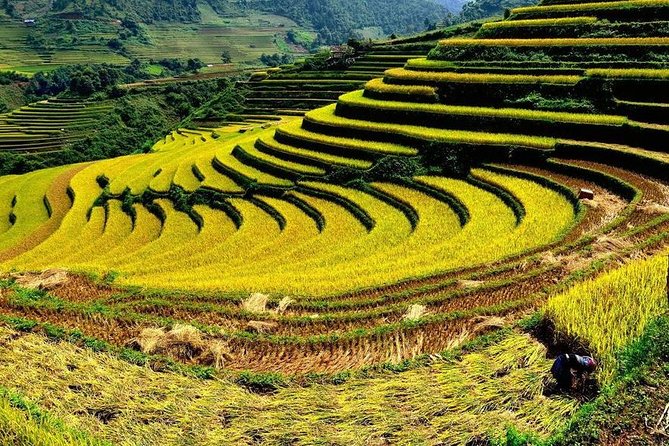 From Hanoi: 2-Day Overnight Sapa Tour by Luxury Van Limousine - Should you book this Sapa tour?