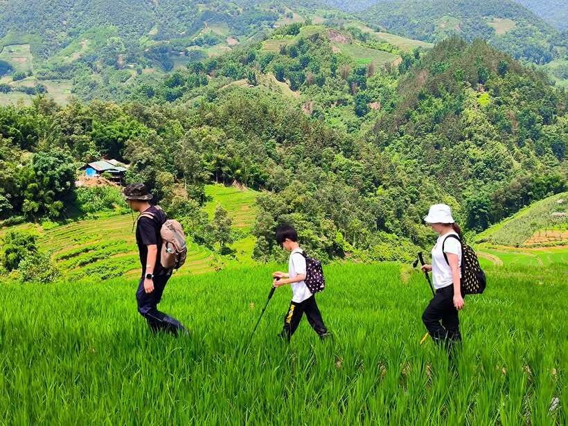 From Hanoi: 2-Day Sapa Trek Tour - Luxury Limousine Transfer - Who should book this Sapa trek?