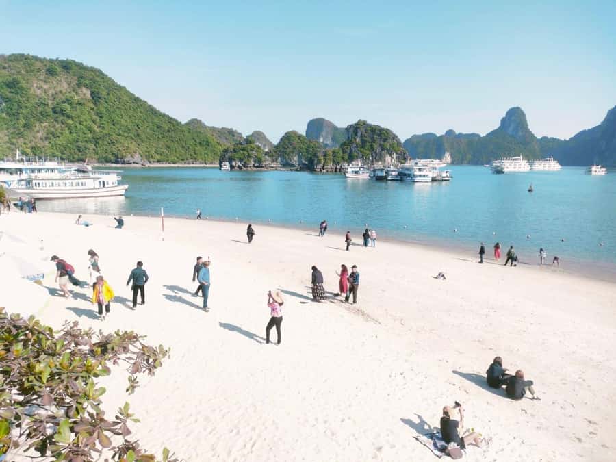 From Hanoi: Ha Long Bay Luxury Day Cruise with Food & Kayak - Who should book this cruise