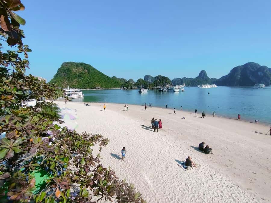 From Hanoi: Ha Long Bay Luxury Day Cruise with Food & Kayak - The sunset party on the way back