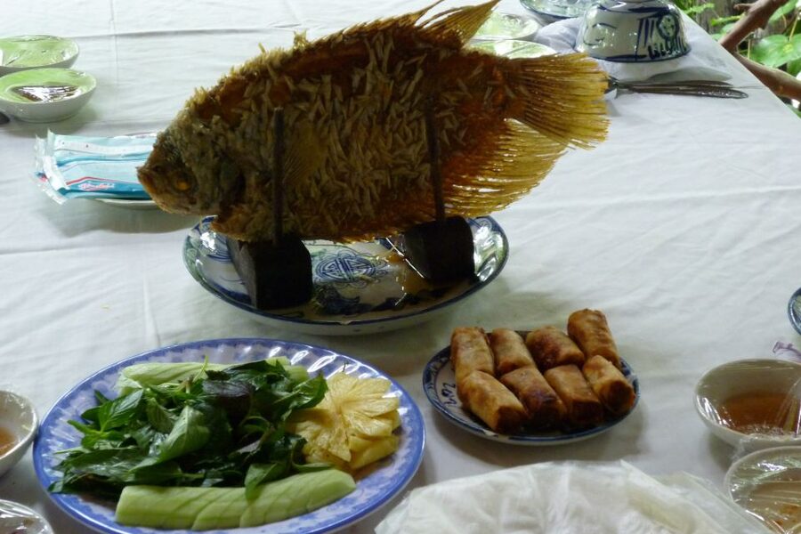From Ho Chi Minh City: Mekong Delta VIP Tour by Limousine - Is nine hours and $49 good value?