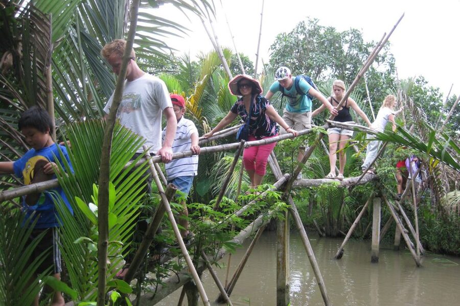 From Ho Chi Minh City: Mekong Delta VIP Tour by Limousine - How the guide shapes the day