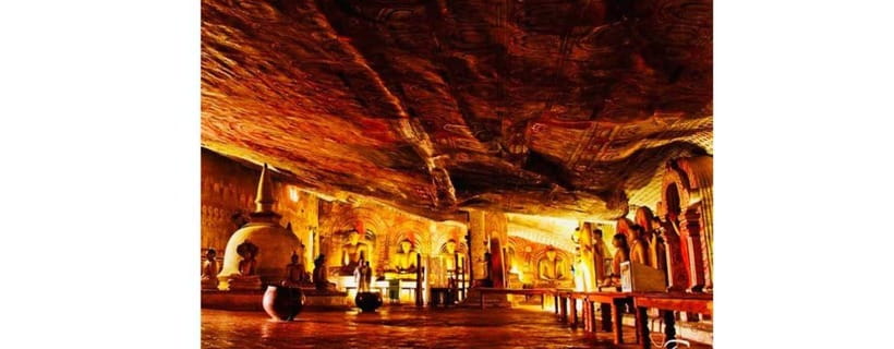 From Kandy: Dambulla to Sigiriya Day Tours by Luxury Car - Wildlife safaris can transform the budget