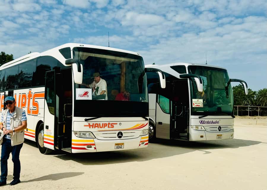 From Manama: Bahrain Guided Trip - Jabal ad Dukhan, the Tree of Life, and oil country