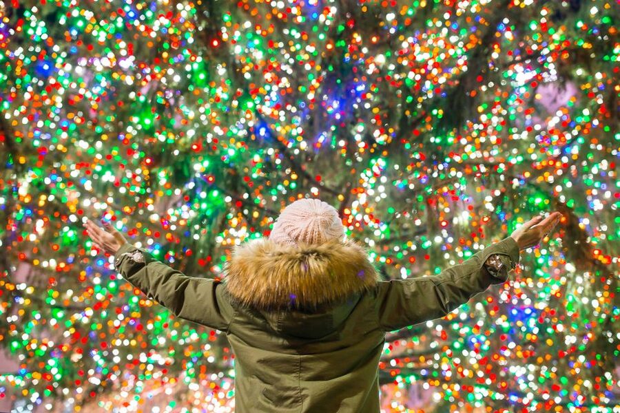 From Manhattan: 4-Hour Christmas Lights Luxury Bus Tour - Crossing into Brooklyn and reaching the decorated blocks