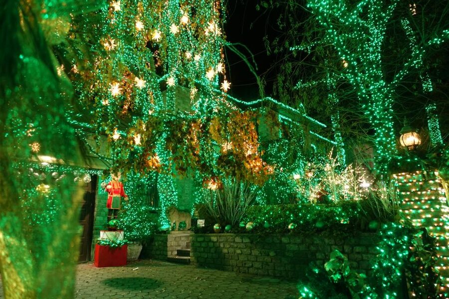 From Manhattan: 4-Hour Christmas Lights Luxury Bus Tour - Greenwich Village and the Rockefeller Center finish