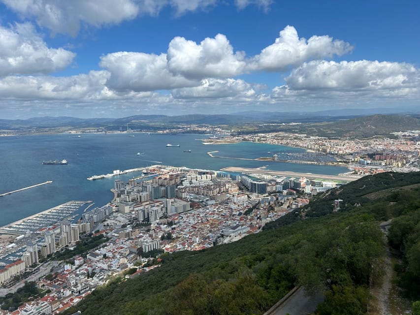 From Marbella/Estepona: VIP Gibraltar Tour Monkeys + Nature Reserve + Shopping - Why the guide matters on a busy day