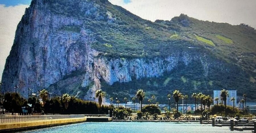 From Marbella/Estepona: VIP Gibraltar Tour Monkeys + Nature Reserve + Shopping - Riding up the Rock and meeting the monkeys