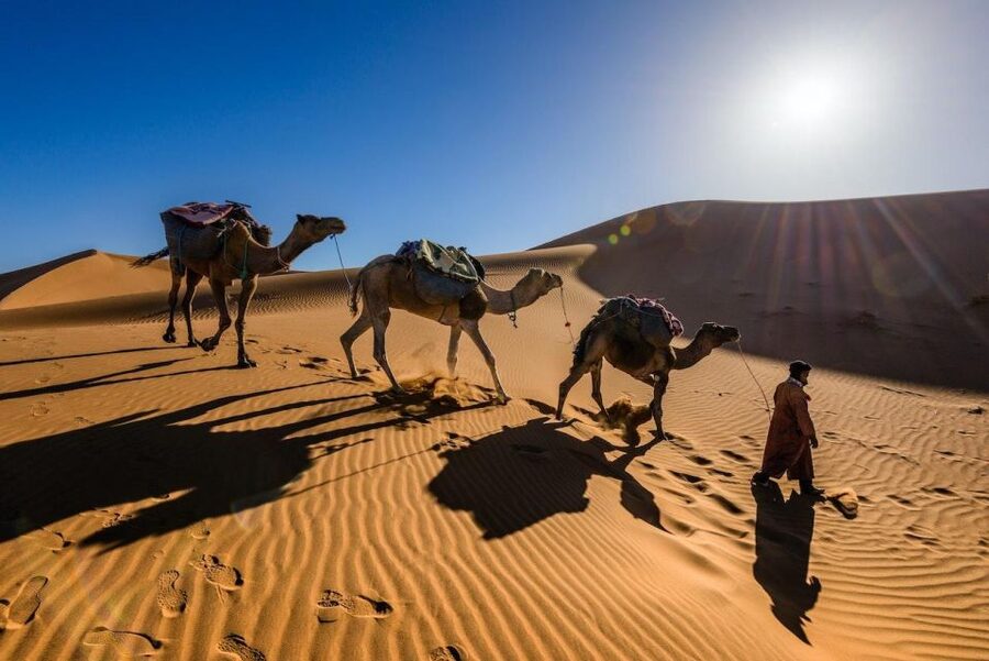 From Marrakech: 3-Day Luxury Desert Tour to Fes via Merzouga - FAQ