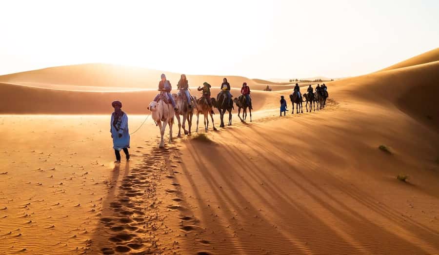 From Marrakech: 3-Day Luxury Desert Tour to Fes via Merzouga - Camel Time in the Erg Chebbi Dunes