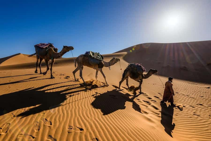 From Marrakech: 3-Day Luxury Desert Tour to Fes via Merzouga - Should You Book the Marrakech to Fes Desert Tour?