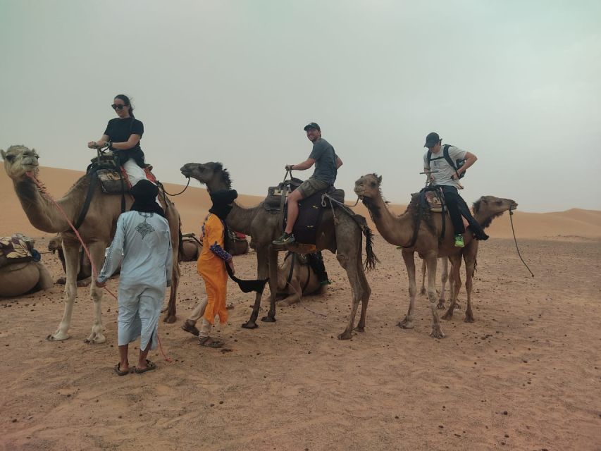 From Marrakech: 3-Day Merzouga & Sahara Desert Experience - Day two: Todra Gorge and the road to Merzouga