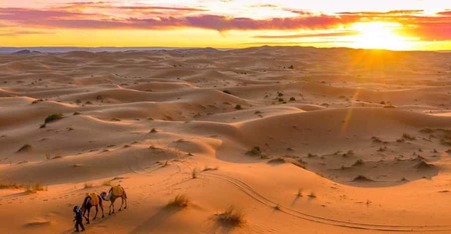 From Marrakech: 3 Days Desert Tour To Merzouga Luxury Camp - What the luxury camp really adds