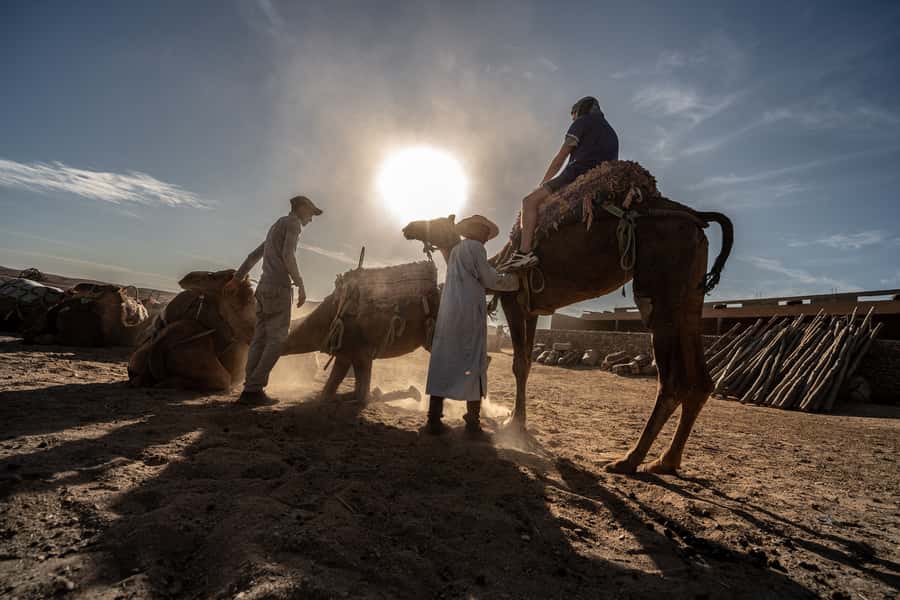 From Marrakech: VIP Agafay Desert & Oasis Camel Experience - Why Agafay works for a short Marrakech outing