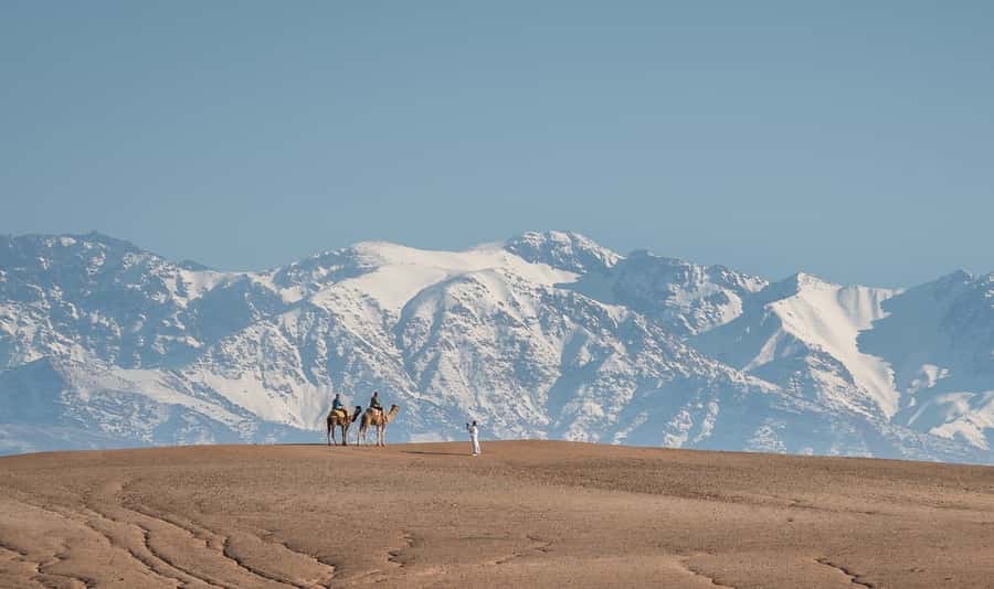 From Marrakech: VIP Agafay Desert & Oasis Camel Experience - Tea first, then your camel companion