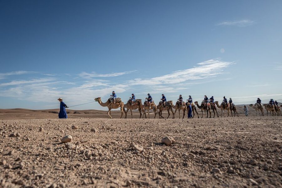 From Marrakech: VIP Agafay Desert & Oasis Camel Experience - What the $57 price really covers