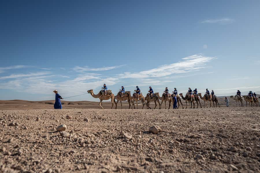 From Marrakech: VIP Agafay Desert & Oasis Camel Experience - From Marrakech to the oasis in 45 minutes