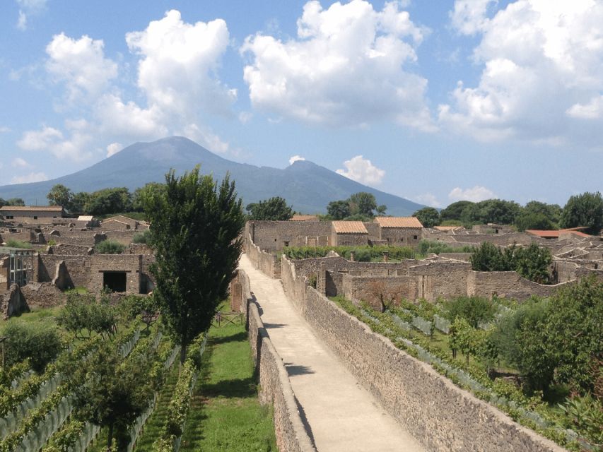 From Naples: Pompeii Ruins VIP Guided Tour - Leaving Naples for the ancient city