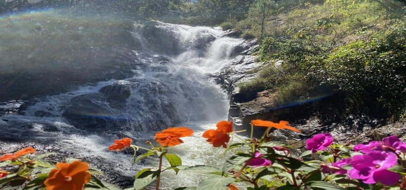 From Nha Trang: Best Seller Top Site Luxury Da Lat City Trip - Key points at a glance
