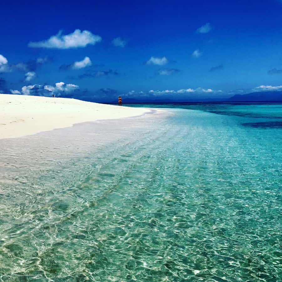 From Port Douglas: Outer Reef Cruise by Luxury Catamaran - The glass-bottom boat and the coral cay