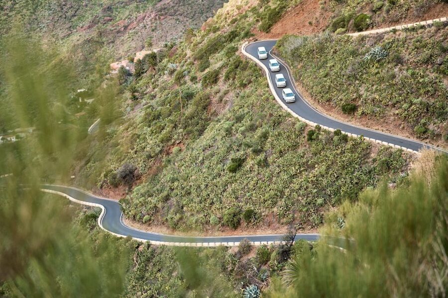 From Puerto de La Cruz: Full-Day Vip Tour to Gomera - Juego de Bolas and the visitor center