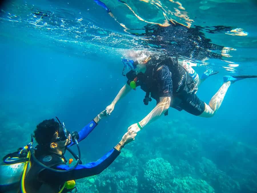 From Sharm: Luxury Diving cruise to Ras Mohammed with Lunch - Key points to know before sailing