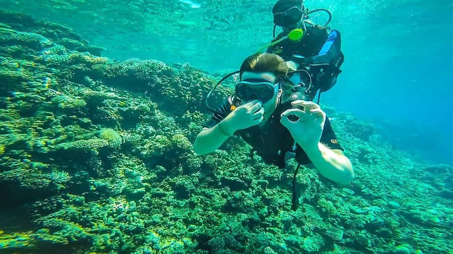 From Sharm: Luxury Diving cruise to Ras Mohammed with Lunch - What the first underwater session is like
