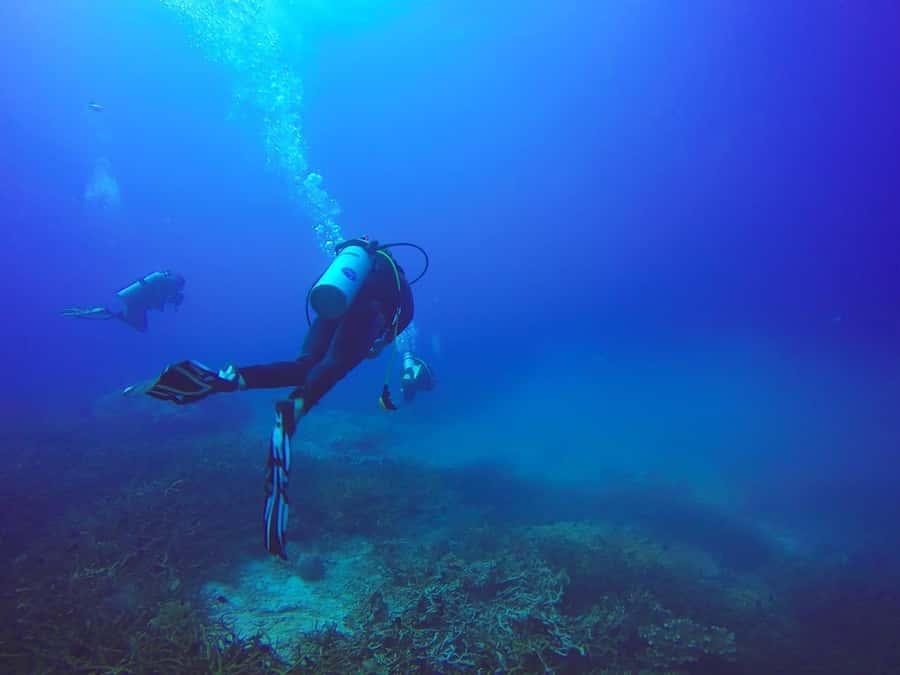 From Sharm: Luxury Diving cruise to Ras Mohammed with Lunch - Who should book this boat trip