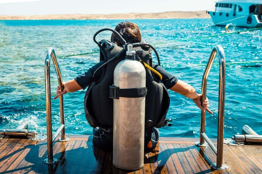 From Sharm: Luxury Diving cruise to Ras Mohammed with Lunch - Pickup from Sharm El Sheikh and the marina