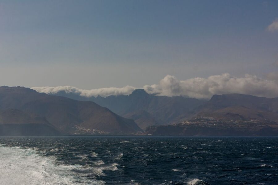 From South Tenerife: VIP Gomera Tour - Key points at a glance