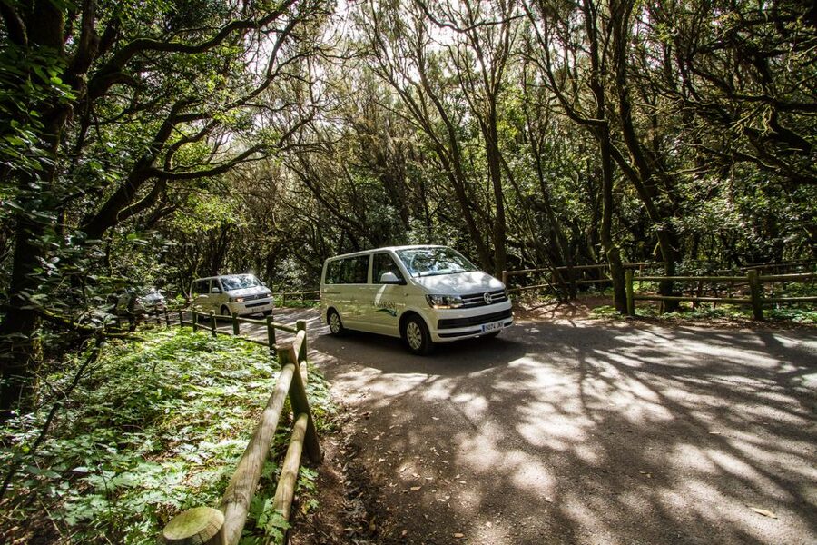 From South Tenerife: VIP Gomera Tour - Is $188 a fair price?