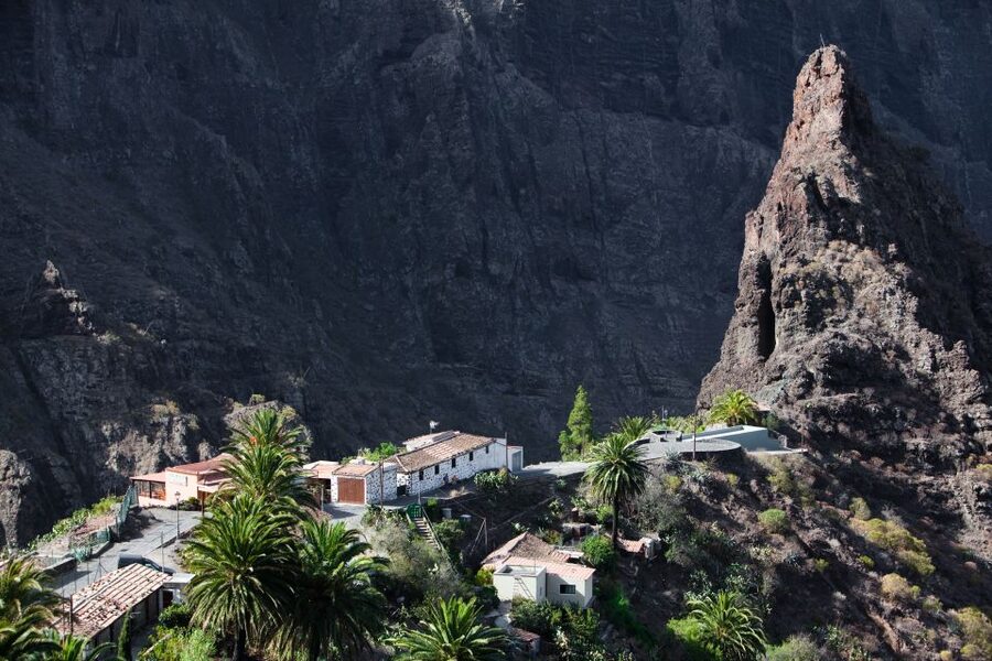 From South Tenerife: VIP Grand Tour Tenerife island - Why this is a useful first day on Tenerife