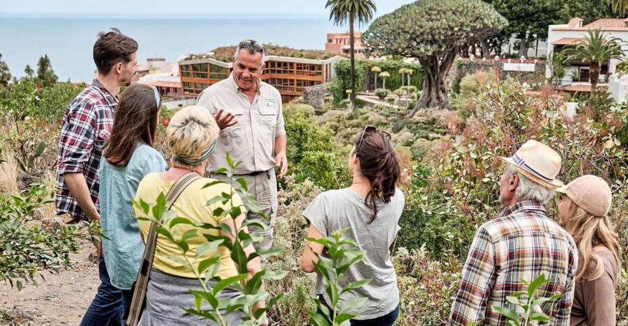 From South Tenerife: VIP Grand Tour Tenerife island - Isla Baja, Garachico, and Icod de los Vinos