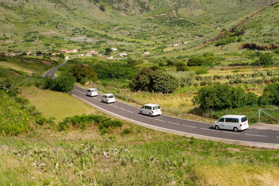 From South Tenerife: VIP Grand Tour Tenerife island - Vilaflor and the return south