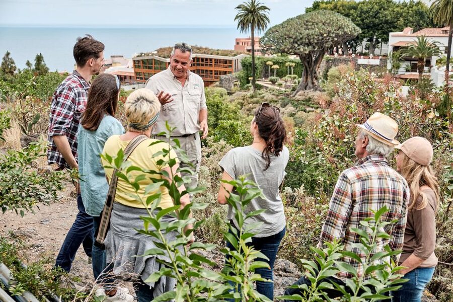 From South Tenerife: VIP Grand Tour Tenerife island - Masca and the western mountain roads
