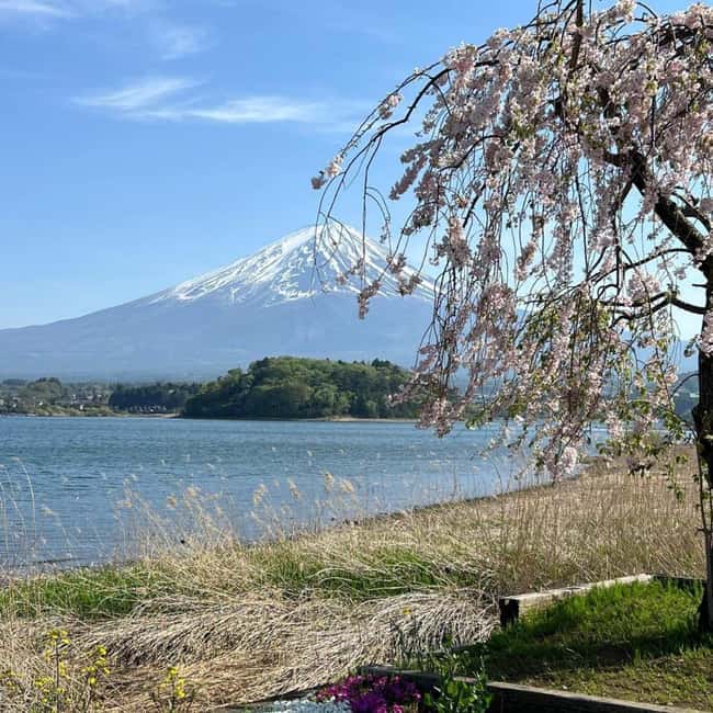 From Tokyo: Mt Fuji Private Day Tour In Luxury Land Cruiser - Leaving Tokyo for the Fuji region