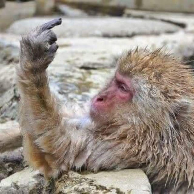 From Tokyo/Nagano: Luxury Snow Monkey Private Full-Day Tour - Shibu Onsen feels like old Japan