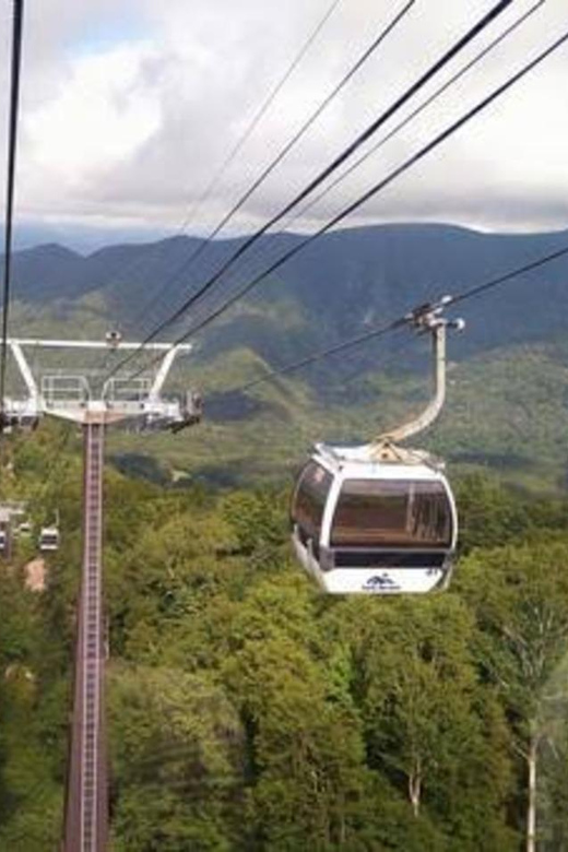 From Tokyo: Nikko luxury Tour with English-speaking Guide - Key points to know before booking