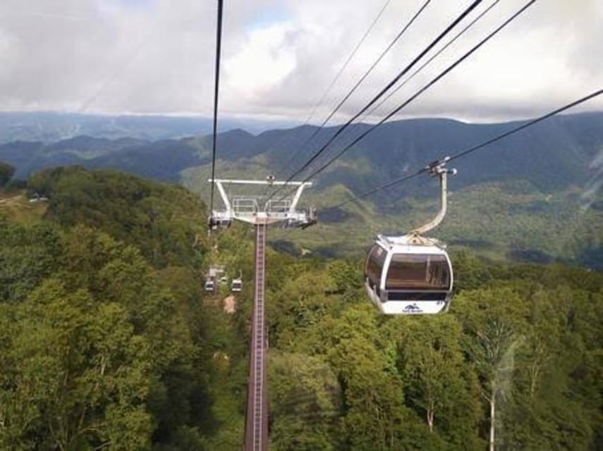 From Tokyo: Nikko luxury Tour with English-speaking Guide - Shinkyo Bridge introduces Nikko’s sacred side