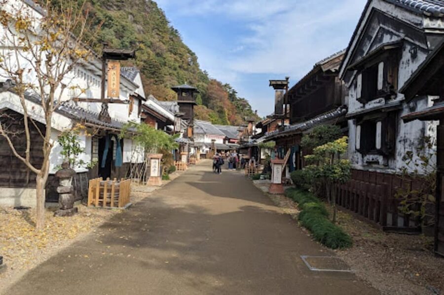 From Tokyo: Nikko luxury Tour with English-speaking Guide - Kegon Falls closes the sightseeing portion