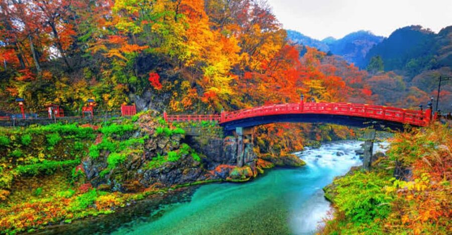 From Tokyo: Nikko luxury Tour with English-speaking Guide - A private Tokyo pickup makes the long route easier