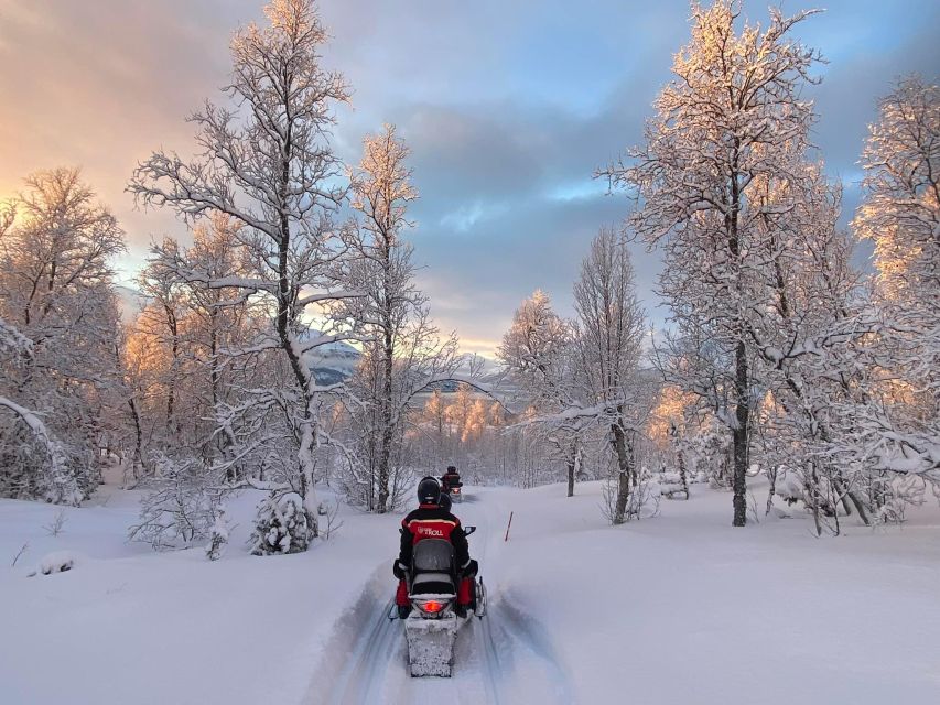 From Tromso: Eco Luxury Snowmobile Adventure to Lyngen Alps - Key points to know before booking