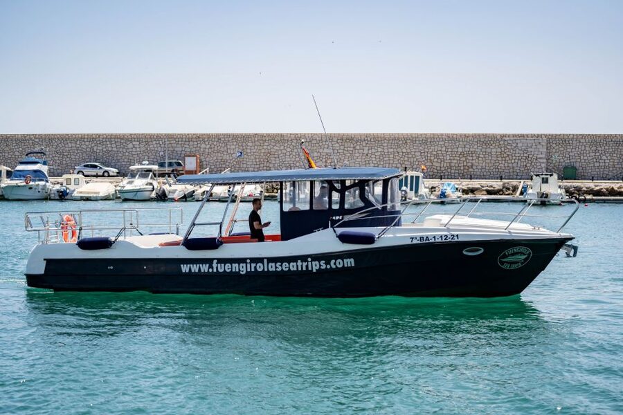 Fuengirola: Luxury Private Boat Rental With Skipper - Looking for dolphins in their natural setting