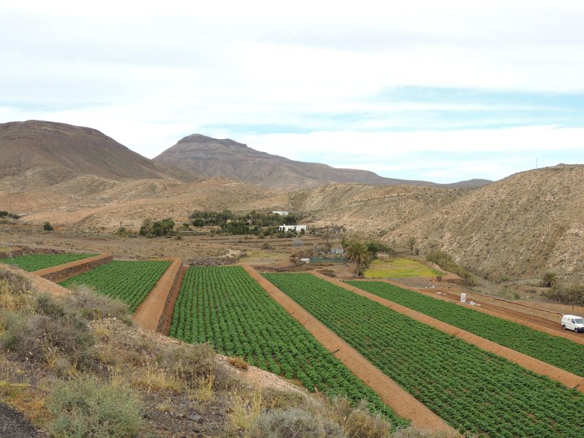 Fuerteventura: Island Highlights Guided VIP Sightseeing Tour - Betancuria, the old capital in the hills