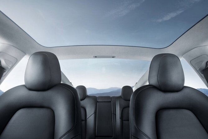 Full Day Customisable Tour with Driver & Luxury Car Unlimited Kms - A private North Island day built around your interests