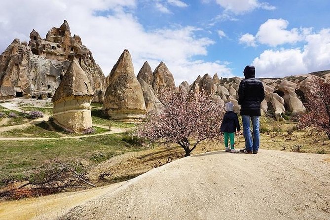 Full Day Private Cappadocia Tour (Luxury Van + Private Guide ) - Pasabag and the fairy chimneys