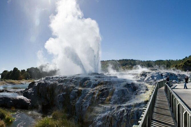FULL DAY ROTORUA TOUR - Fully Customisable 13 hours Unlimited KMS - A private North Island day with room to make choices