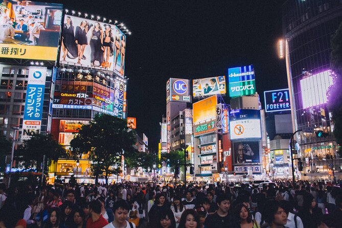 Full Day Tokyo Private Tour by Luxury Vehicle - Akihabara delivers a very different Tokyo