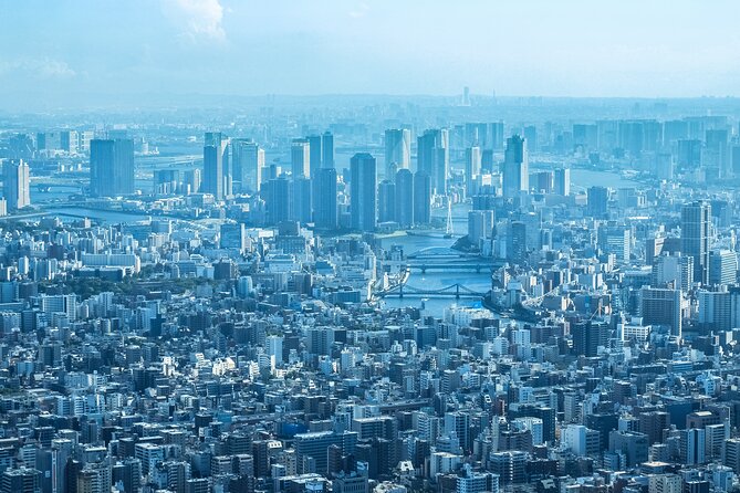 Full Day Tokyo Private Tour by Luxury Vehicle - Takeshita Street is colorful, crowded, and easy to outgrow