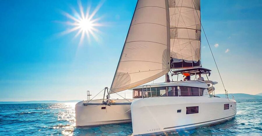 Funchal Bay: Dolphin & Whale Watch Luxury Catamaran Cruise - The highlights in a few words